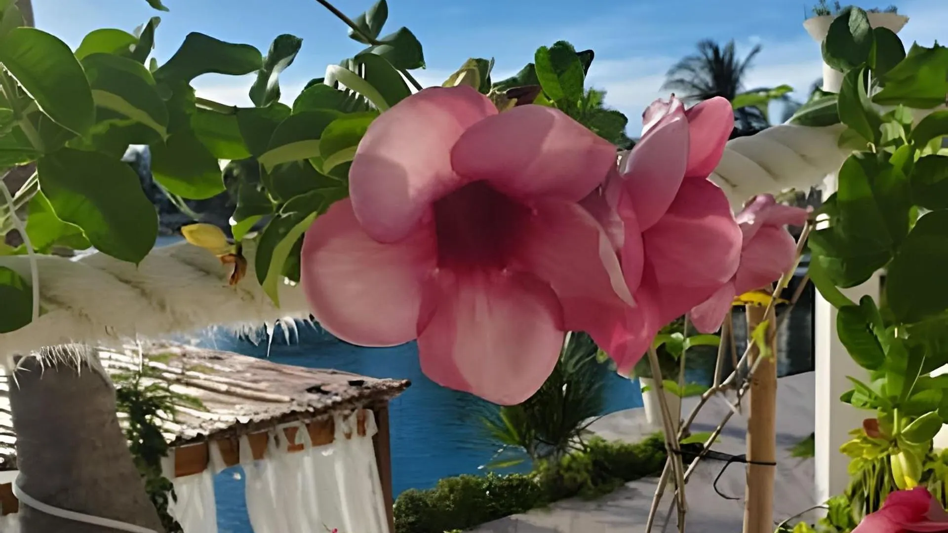 Casa La Torre, Luxury Private Waterfront Villa